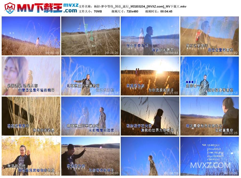 杨釨-梦中等待_国语_流行_MD203234